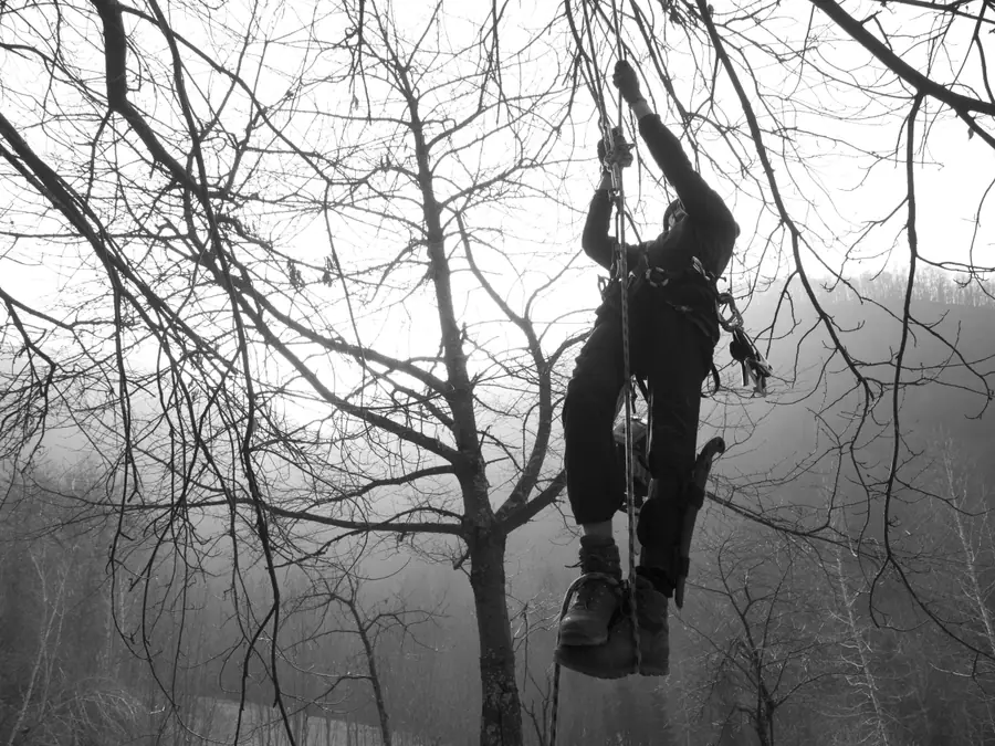 Risalita in corda nella nebbia del mattino
